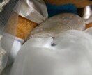 Jリーグマスコットのウェディングドール衣装作ります ご希望のデザインで1から丁寧に作成いたします！ イメージ3