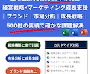 ブランド構築・競合分析・顧客分析を戦略支援します 25年の500社の実績で経営戦略視点で確かな支援します イメージ1