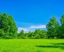 ベテラン作業療法士が不安な気持ちをお聴きします うつ病かも？気分が晴れない・介護での悩み・仕事・育児等 イメージ8