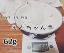 ハムスターの相談に乗ります 薔薇です。お世話になってます。ハムスター飼ってます。 イメージ7