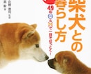 愛犬の困った！ミッシーの総合診療科で解決目指します 新規の相談者向け／【診断書】発行致します イメージ6