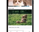 WordPressデザイン固定で制作します 【WordPress】デザイン固定で迷わないWebサイト制作 イメージ5