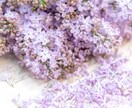 疲れた心をほぐす時間❀気持ちを全部受け止めます 話して発散！／雑談も◎明日からまた頑張りたいあなたに イメージ8