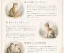 私のペットが伝えたい気持ち・言葉をお伝えします ♡あなたにだけ伝えたい、あの子の本音を届けます♡鑑定書納品付 イメージ5