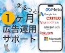 Web広告 まるっと1ヵ月運用代行します 広告代理店出身者⭐︎全媒体1ヶ月間サポート付き イメージ1