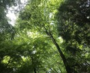 大腸癌克服経験有りですがお話聞きします 年齢性別関係無し！癌の経験、話し合いましょう！ イメージ2