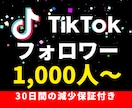 Tiktokのフォロワーを1000人増加します 減少保証付き☆オープン記念キャンペーン イメージ1