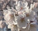 相談や愚痴を色々聞きます なんでも聞きます暇つぶしご利用下さいよろしくお願いします イメージ1