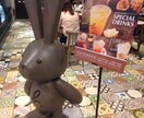 看護師歴25年があなたの心を楽にします 病気や介護で不安、判らない事、不満や愚痴はありませんか？ イメージ4