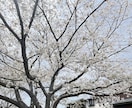 日常の疲れやモヤモヤなどを聴きます 会話で日常のモヤモヤを発散しましょう♡ イメージ1