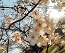 人には言えない恋のお悩みお聞きします 友人や家族にはなかなか言えないお悩みなど気兼ねなくお話下さい イメージ1