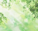 心にしまっている想いを安心して話せる場にします 心理学部生・主婦が寄り添います イメージ7