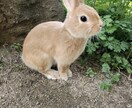 今抱えている問題や不安を気軽にお話聞きます あなたの心のヨリドコロ「ここの窓口」 イメージ1