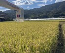 元地域おこし協力隊が移住のいろはをお伝えします 移住→定住。知り合い０からの移住。あなたの不安を聞きます！ イメージ1