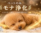 あなの愛するペットにモナ浄化致します あなたの負のエネルギーを吸収するペット達の愛の深さ イメージ1