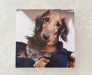 大切な写真を油絵風にキャンバスプリントします WEBデザイナー歴20年、心をこめて制作します。 イメージ2