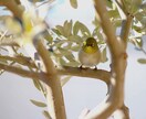要望に応じた写真加工他にもサムネイル制作も受付ます 写真加工他にも要望があればサムネイル制作も受付！ イメージ4