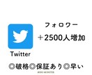 Twitterフォロワーを2500人増やします 宣伝&拡散しTwitterのフォロワーを増やします！ イメージ1