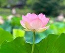 ６０分だけでごめんね。「お気軽チャット」提供します お気遣いなしの「安心雑談チャット」であなたの居場所をキープ！ イメージ5