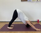 頑張らないヨガオンラインレッスンします ヨガが気になるけど敷居が高いと感じておられる方へ イメージ1