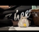 どのような方でも使っていただける写真を提供します どなたでも使える写真を撮ります。 イメージ3