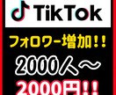 2000人TikTokのフォロワーを増やします 些細な疑問でもお答えしますのでご気軽に相談ください！ イメージ5