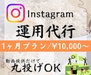 Instagram運用代行・動画作成します リール動画でインスタ運用サポート イメージ1