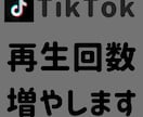 TikTok 再生回数3000回増やします ＋3000回～増加可能✨それ以上はOPで対応可能です！ イメージ1