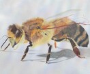 リアルなアナログ絵、メッセージ性のある絵描きます 鉛筆や色鉛筆を使用して描かせていただきます。 イメージ8