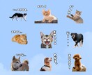 ペットのLINEスタンプ作ります 自分のペットのお気に入りの写真がLINEスタンプに！ イメージ1