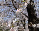 結婚　妊活　子育てのお悩み解決します 一人で悩まずご相談ください☺︎心がスッキリ軽くなりますよ。 イメージ1