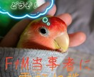 FTM当事者が性別の事を否定せず丸ごと受け止めます 否定しません。FTMの私に、あなたの胸の内を話してみませんか イメージ1