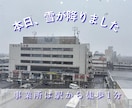 SNS運用の画像、動画を作成します 業務委託でコスト削減が可能です イメージ2