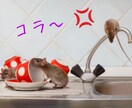 静岡県在住のネズミ駆除業者がアドバイス致します ネズミ被害で悩まれている方、最適な対策方法をお伝えします。 イメージ1