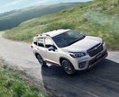 車の購入で悩んでる方へ最適な車を提案します 予算、色、地域、など提示いただけましたら直ぐに提案いたします イメージ8