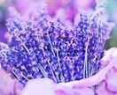 霊感によって気になる悩み、占います 人生総合、人間関係、お仕事について、将来未来 イメージ1