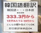 日⇄韓翻訳 元通訳士が自然な翻訳を致します 韓国人JLPT N1満点、即日納品で翻訳させて頂きます イメージ1