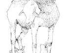 うちの子/ペットの似顔絵イラストをお描きしますます ペン画で植物などの簡単な装飾を追加してイラストを描きます。 イメージ5