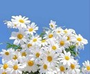あなただけの心の居場所を一緒に造ります 女性限定☆秘密厳守☆あなたの時間とお金を大切に心がけます！ イメージ6