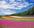 あなたの【潜在意識】【高次元】にチャネリングします ★あなたの本当の声を聴き、目醒めへと導きます☆ イメージ1