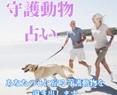 あなたの守護動物を占います 動物飼育歴30年以上のタロットカード士が導き出します イメージ1