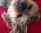 お話、お聴きします ☆お悩み、愚痴、吐き出しましょう！！＼(^_^)／ イメージ1