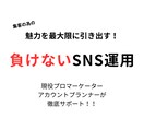 プロがSNS運用代行いたします Instagramの運用を行います。 イメージ1