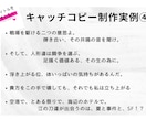 同人誌のキャッチコピーを考えます 心が沸き立つキャッチコピーを、あなたの自慢の作品へ イメージ5