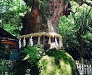 今あなたに必要なメッセージを伝え未来を変えます あなたは一人ではありません｜守護霊を通し運命の道へ イメージ7