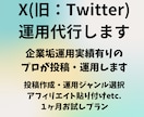 X(旧：Twitter)を1ヶ月間運用代行します 企業垢運用・バズ実績有りのプロが運用します イメージ1