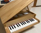 30分1000円♪子ども向けピアノレッスンします 初めてでも安心！お子さまの「弾きたい」を応援します♩ イメージ2