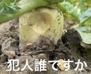 野菜の育て方、アドバイスします 種苗メーカー、農場長の経験をもとにアドバイスさせて頂きます。 イメージ1