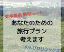NZワーホリ経験者が旅行プラン作成します 観光からロードトリップまでニュージーランドを楽しみ尽くそう！ イメージ1