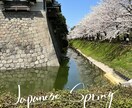 写真に手書きで書きこみをします あなたの素敵な写真に手書き文字で「ひとこと」添えませんか？ イメージ4